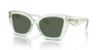 Picture of Coach Sunglasses HC8405U