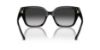 Picture of Coach Sunglasses HC8392U