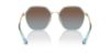 Picture of Coach Sunglasses HC7167B