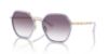 Picture of Coach Sunglasses HC7167B