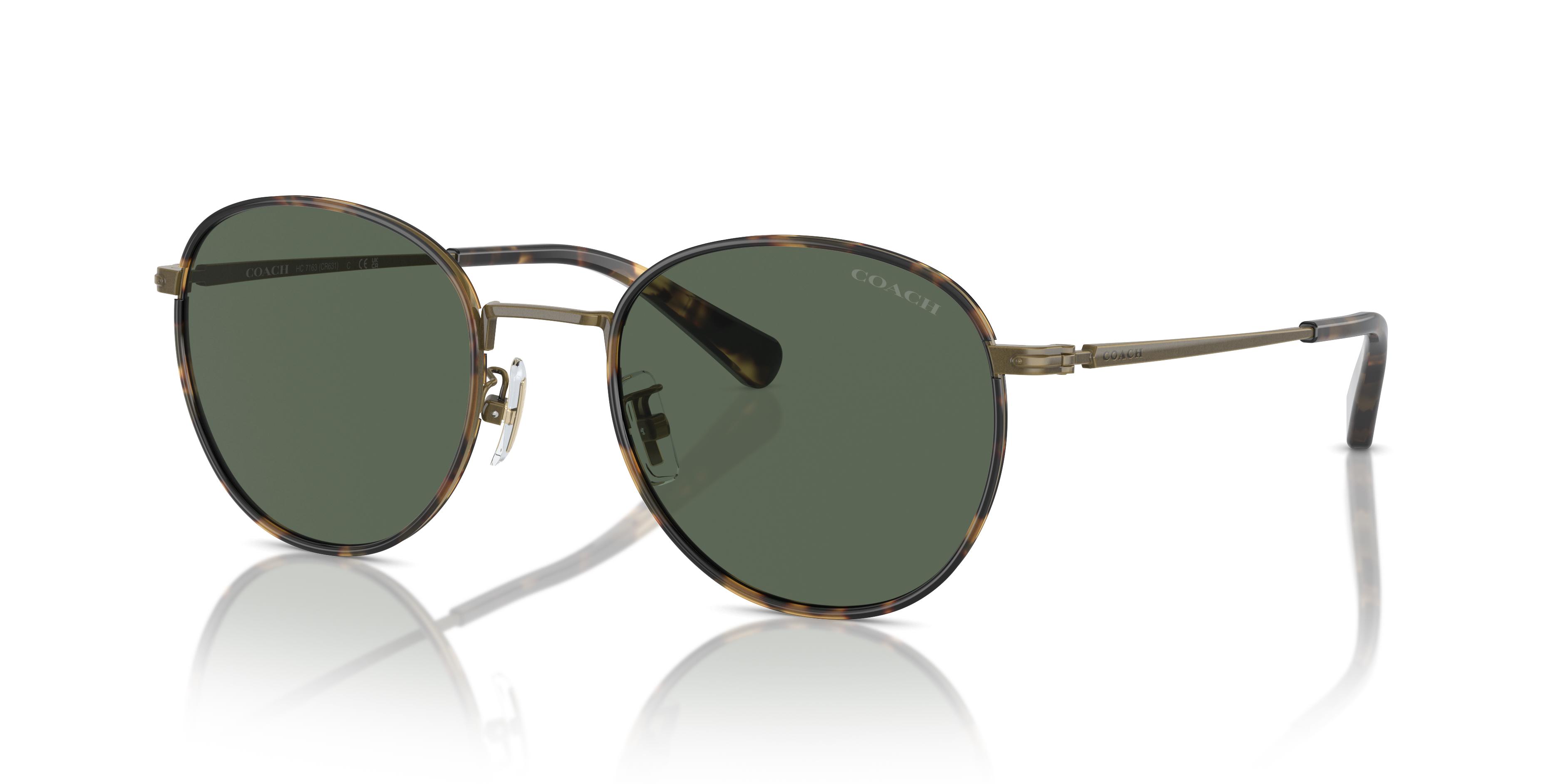 Picture of Coach Sunglasses HC7163