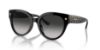 Picture of Coach Sunglasses HC8393U