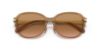 Picture of Coach Sunglasses HC8332D