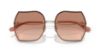 Picture of Coach Sunglasses HC7146BD