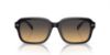 Picture of Coach Sunglasses HC8388U