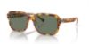 Picture of Coach Sunglasses HC8388U