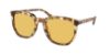 Picture of Coach Sunglasses HC8384U