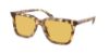Picture of Coach Sunglasses HC8385U