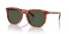 Picture of Coach Sunglasses HC8384U