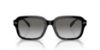 Picture of Coach Sunglasses HC8388U