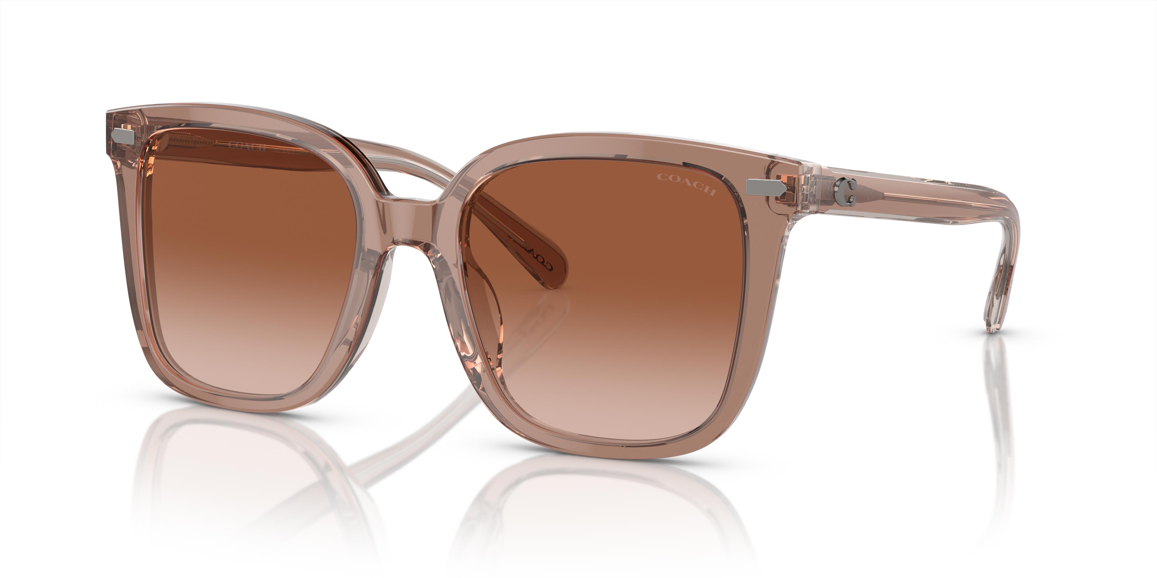 Picture of Coach Sunglasses HC8381F