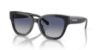 Picture of Coach Sunglasses HC8379F