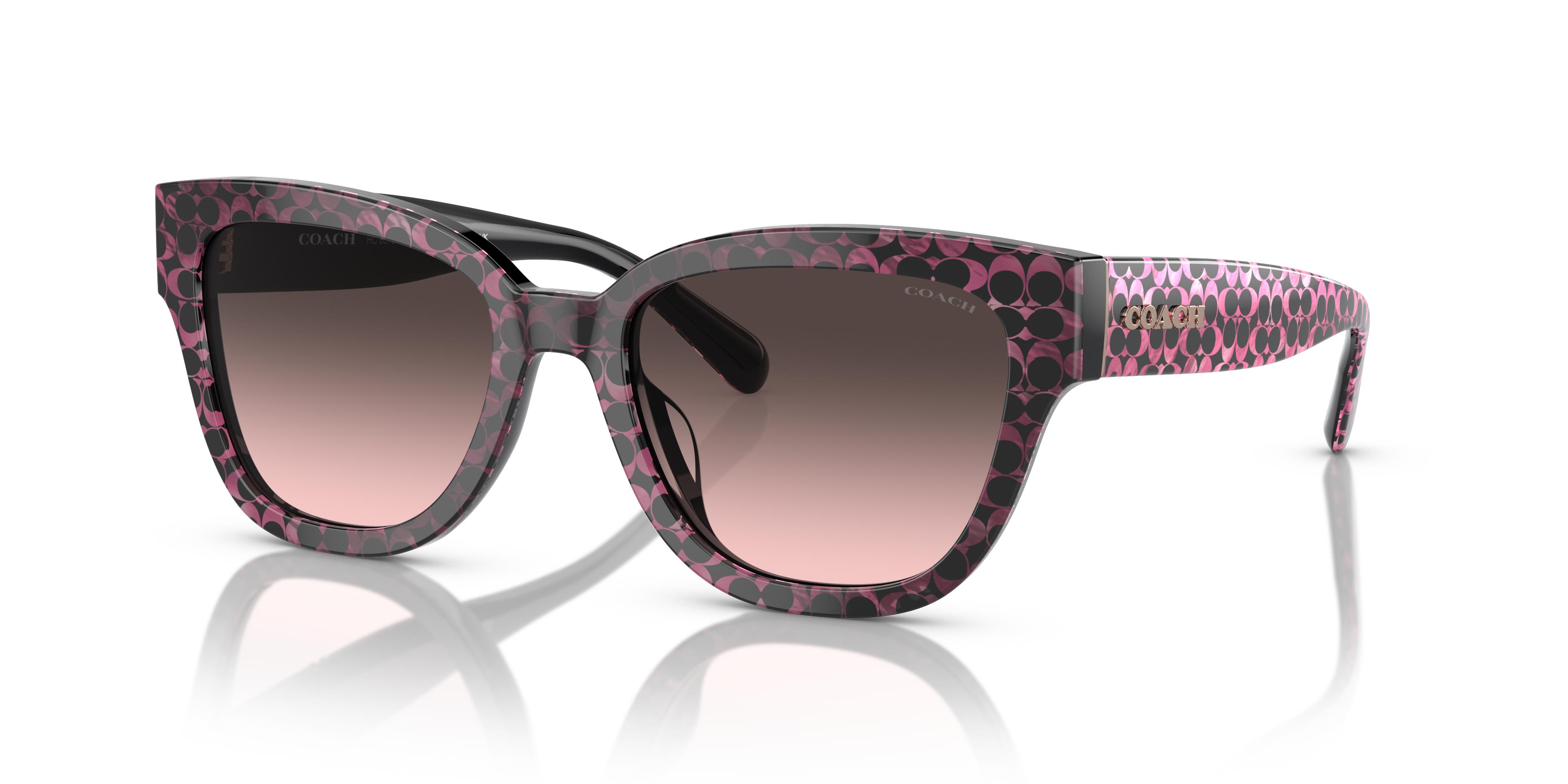 Picture of Coach Sunglasses HC8379F