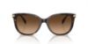 Picture of Coach Sunglasses HC8378U