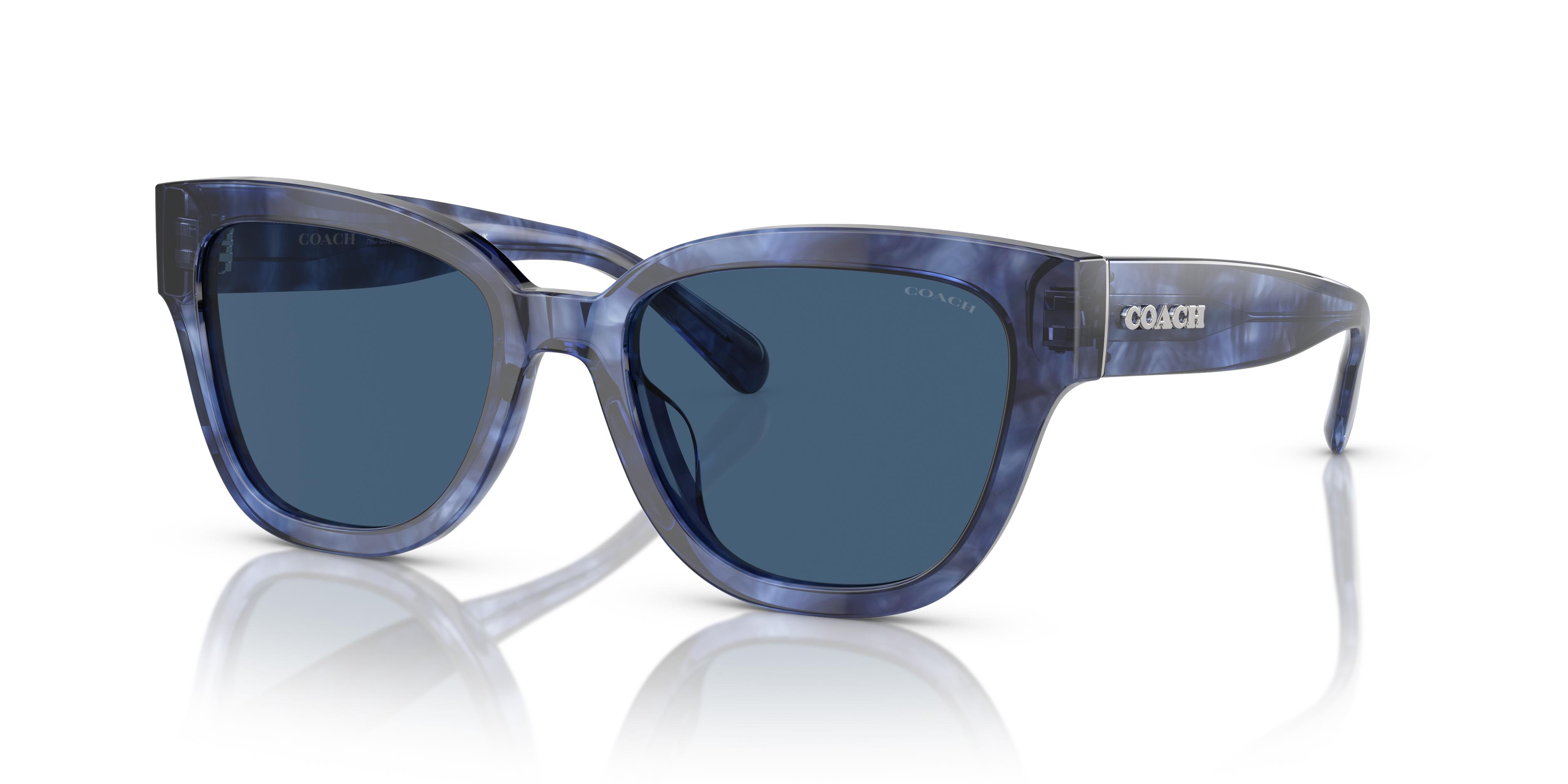 Picture of Coach Sunglasses HC8379U