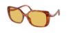 Picture of Coach Sunglasses HC8376U