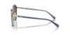 Picture of Coach Sunglasses HC7154