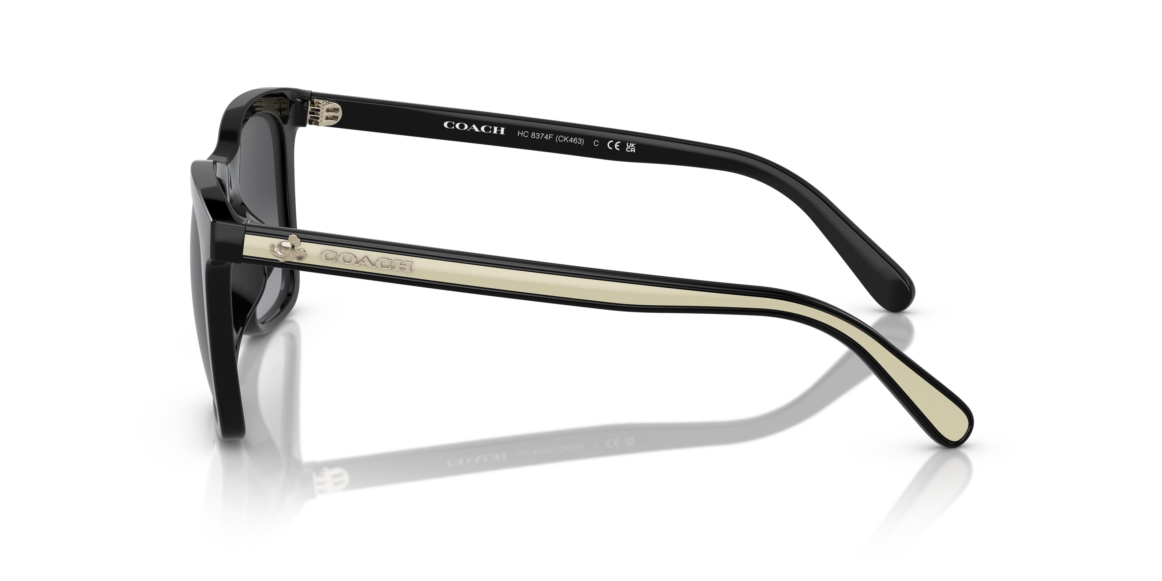 Coach Sunglasses HC8374F | Designer Frames Outlet display picture 2