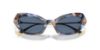 Picture of Dolce & Gabbana Sunglasses DG4473