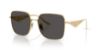Picture of Dolce & Gabbana Sunglasses DG2310
