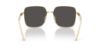 Picture of Dolce & Gabbana Sunglasses DG2310