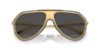 Picture of Dolce & Gabbana Sunglasses DG2309