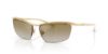 Picture of Dolce & Gabbana Sunglasses DG2307