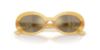 Picture of Dolce & Gabbana Sunglasses DX6007U