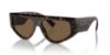 Picture of Dolce & Gabbana Sunglasses DG4461