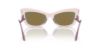Picture of Dolce & Gabbana Sunglasses DG4467B