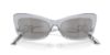 Picture of Dolce & Gabbana Sunglasses DG4467B