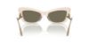 Picture of Dolce & Gabbana Sunglasses DG4467B