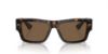 Picture of Dolce & Gabbana Sunglasses DG4451