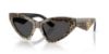 Picture of Dolce & Gabbana Sunglasses DG4439