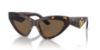 Picture of Dolce & Gabbana Sunglasses DG4439