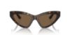 Picture of Dolce & Gabbana Sunglasses DG4439