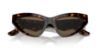 Picture of Dolce & Gabbana Sunglasses DG4439