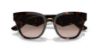 Picture of Dolce & Gabbana Sunglasses DG4437