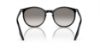 Picture of Ray Ban Sunglasses RB2204F
