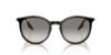 Picture of Ray Ban Sunglasses RB2204F