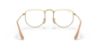 Picture of Ray Ban Eyeglasses RX3958V