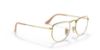 Picture of Ray Ban Eyeglasses RX3958V