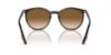 Picture of Ray Ban Sunglasses RB2204F