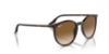 Picture of Ray Ban Sunglasses RB2204F