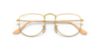Picture of Ray Ban Eyeglasses RX3958V
