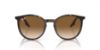 Picture of Ray Ban Sunglasses RB2204F