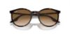 Picture of Ray Ban Sunglasses RB2204F