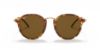 Picture of Ray Ban Sunglasses RB2447