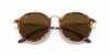 Picture of Ray Ban Sunglasses RB2447