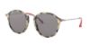 Picture of Ray Ban Sunglasses RB2447